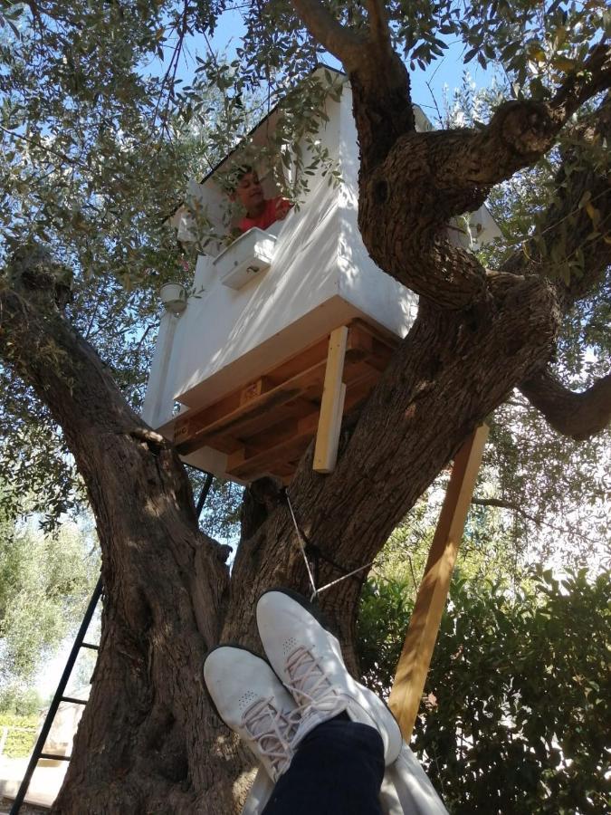 B&B Villa Nonna Maria Castellana Grotte Kültér fotó