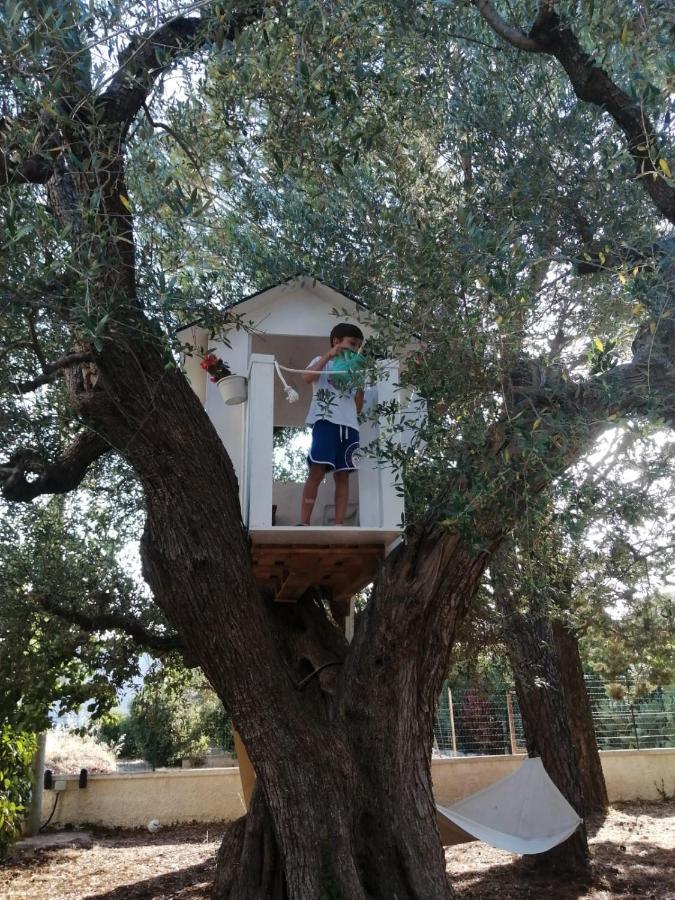 B&B Villa Nonna Maria Castellana Grotte Kültér fotó